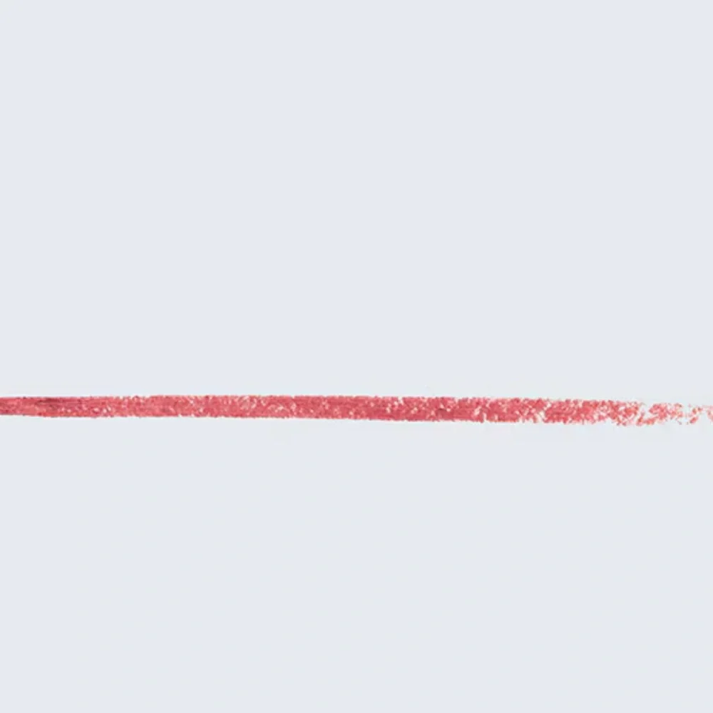 Estée Lauder pure color lipstick crème and lip liner bundle